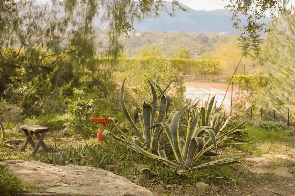 Ojai Vacation Home 1 scaled