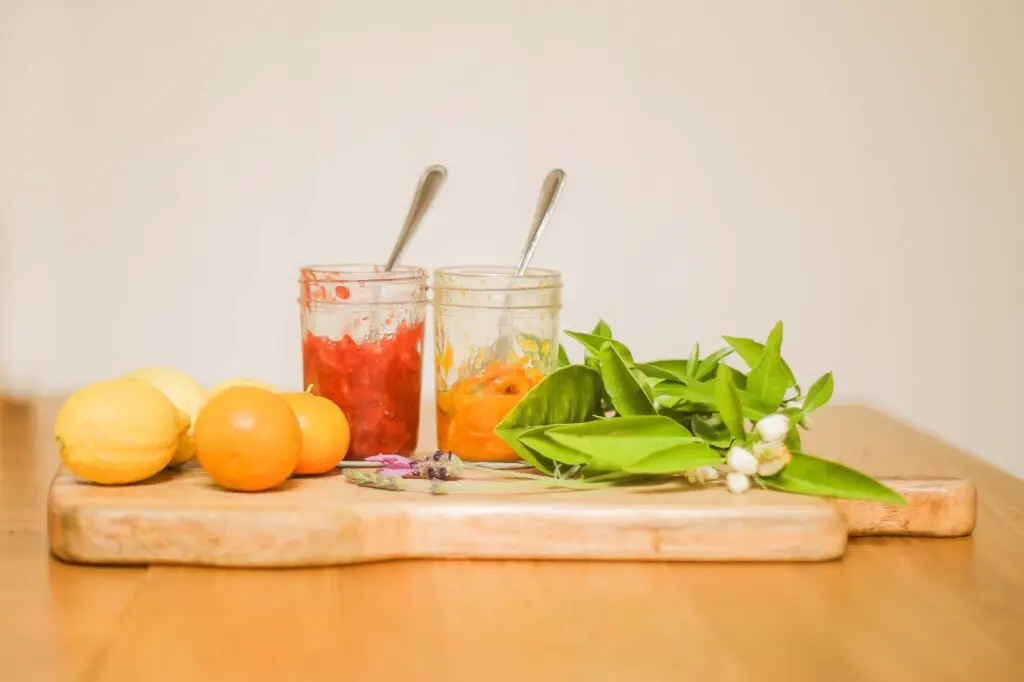 Ojai Vacation Home 17 scaled