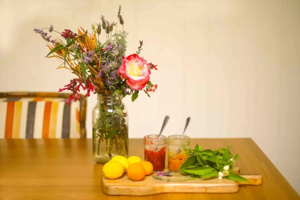 Ojai Vacation Home 18 scaled