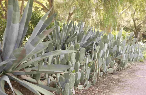 Ojai Vacation Home 2 scaled