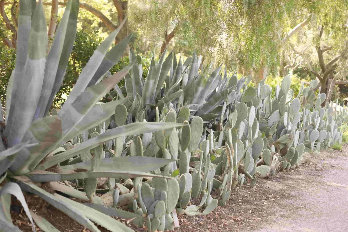 Ojai Vacation Home 2 scaled