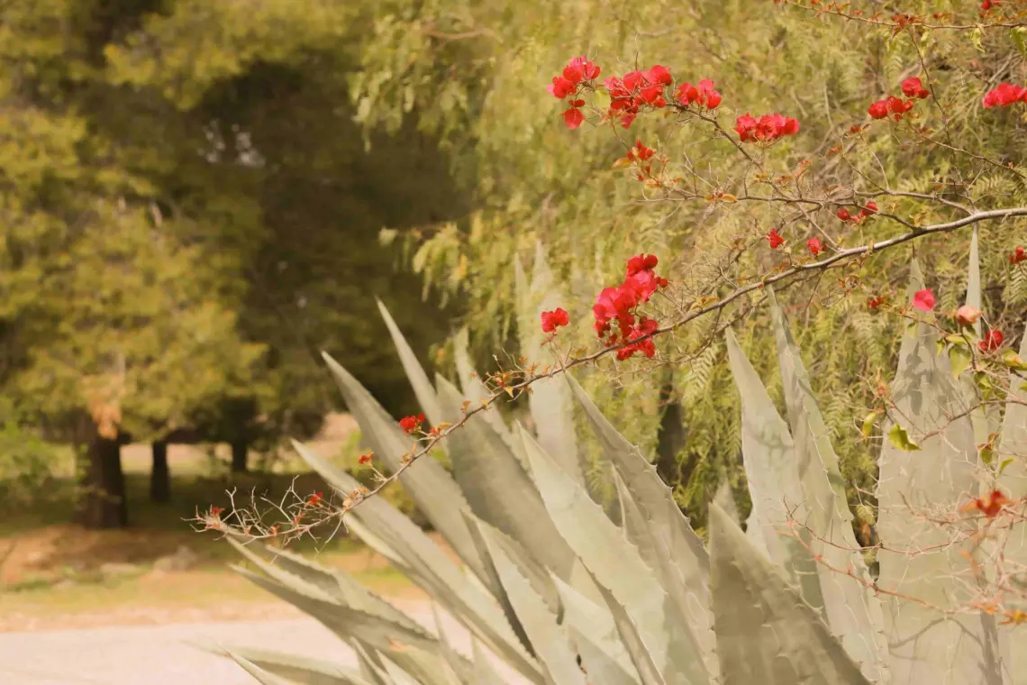 Ojai Vacation Home 30 scaled