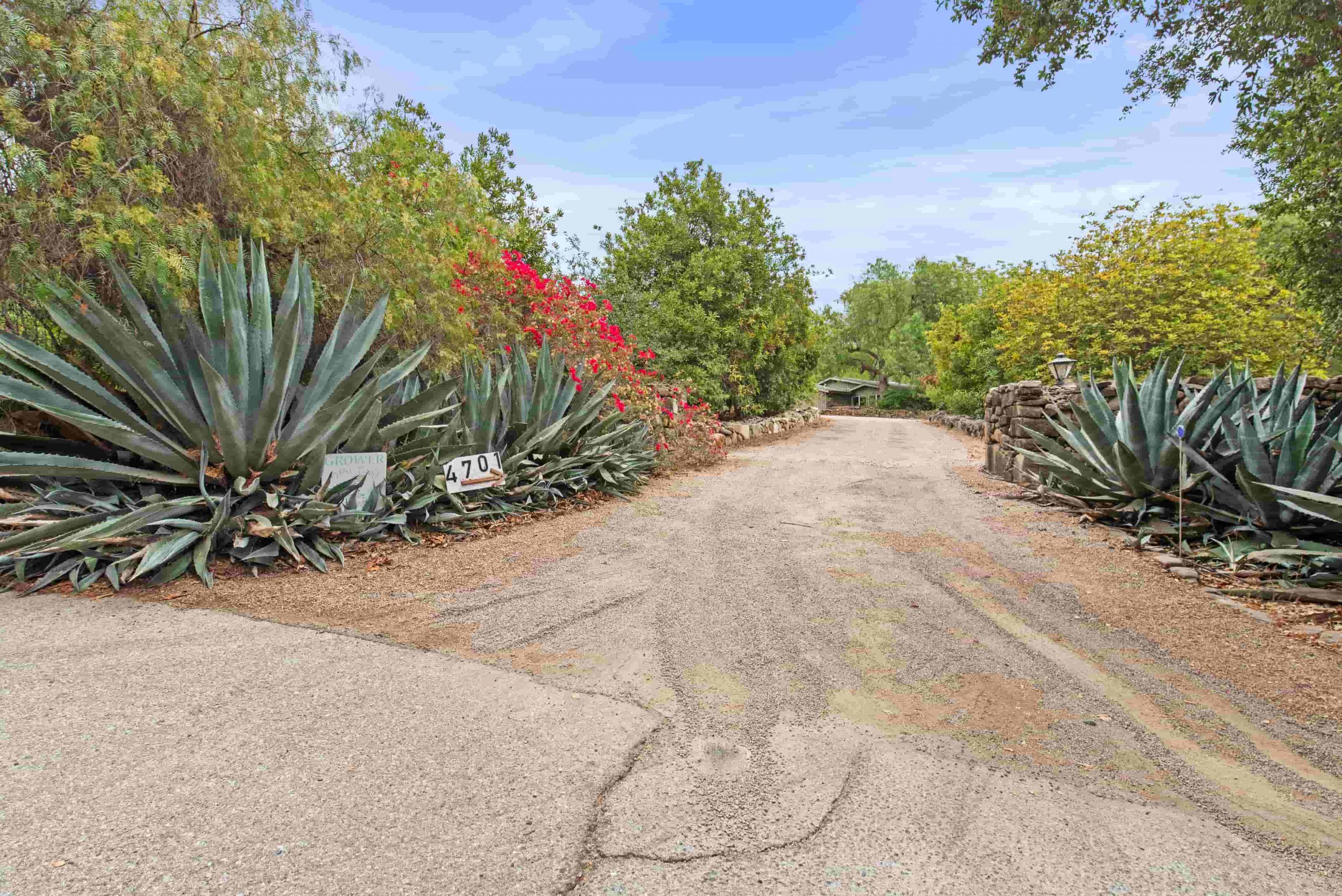 You are currently viewing Eco-Luxury in the Ojai Valley: Your Chemical-Free, Farm-Fresh Vacation Rental