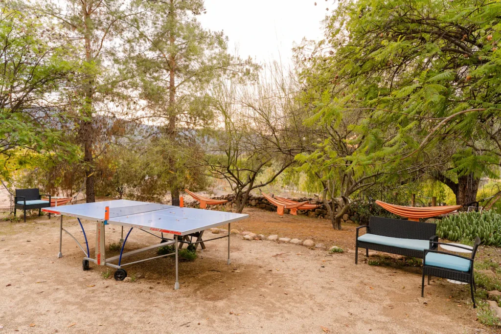 8e536cfe b51c 4f57 93f1 6dffa2121a05