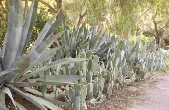 Ojai Vacation Home 2 scaled