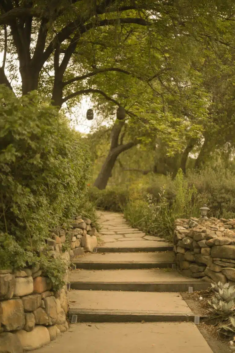 Stone pathway with wooden steps and lush green tree canopy in Ojai vacation home garden