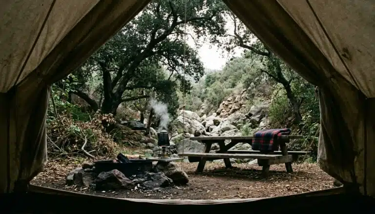 Quiet tent campsite under oak trees at one of the campgrounds in Ojai CA on an overcast morning