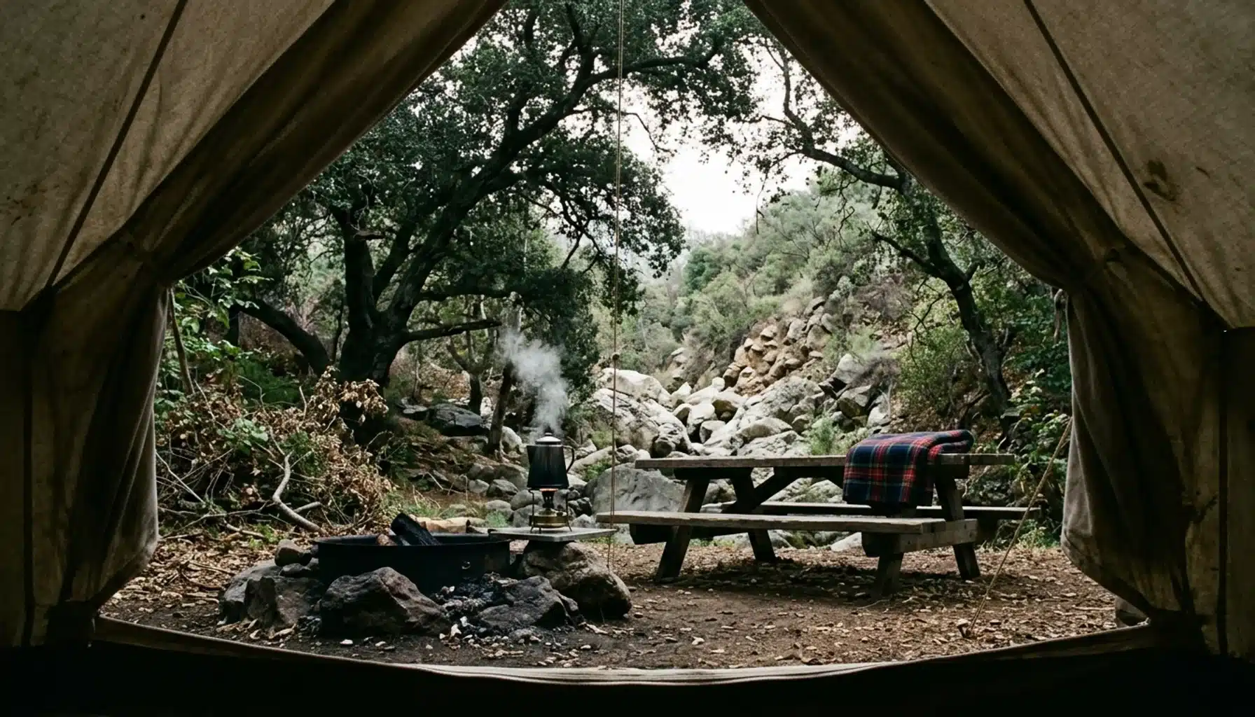 Quiet tent campsite under oak trees at one of the campgrounds in Ojai CA on an overcast morning