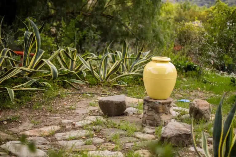 Sunlit backyard garden with decorative urn and ornamental plants at Ojai Vacation Home rental