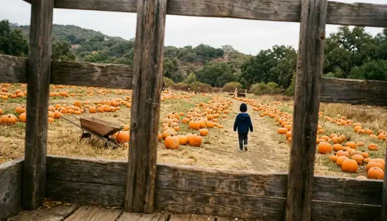 Pumpkins scattered across a pumpkin patch in Ojai with oak-covered hills behind a wooden hay wagon