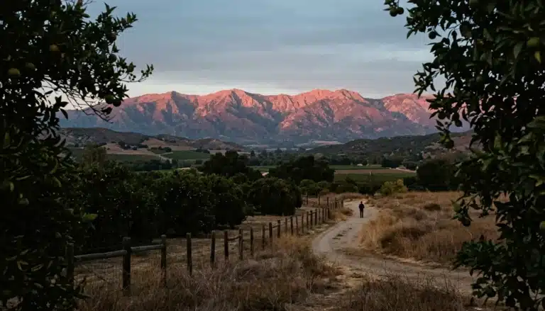 Topatopa Mountains turning rose and coral at sunset, the best place to see the Pink Moment in Ojai